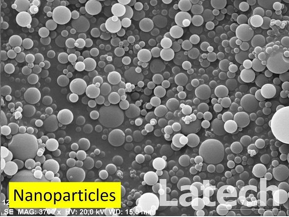 Nanoparticle SEM Latech.jpg