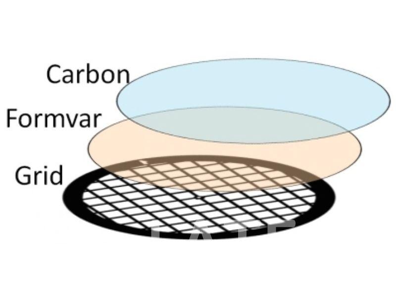 TEM Grids with Continuous Carbon  Formvar Film.jpg