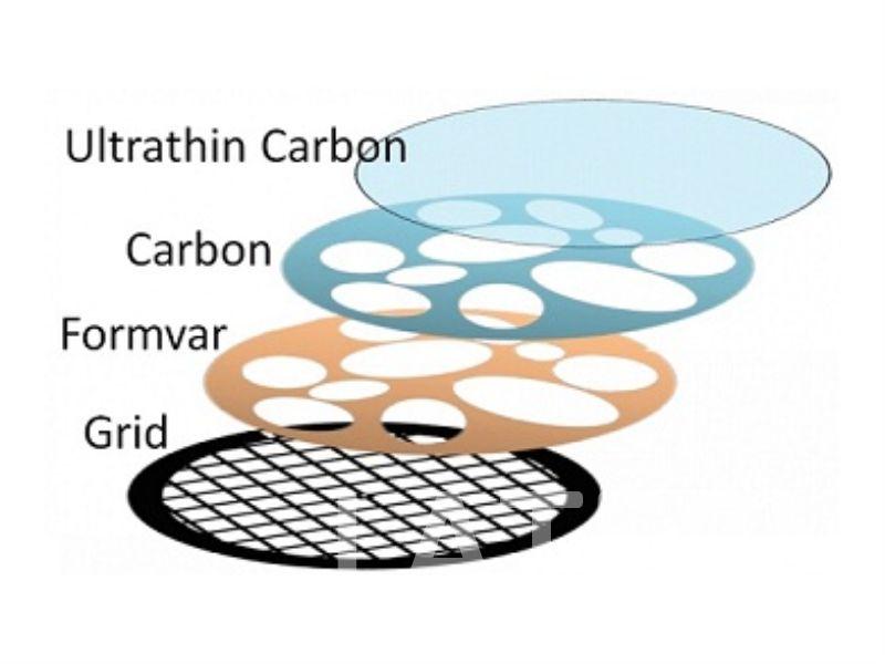 TEM Grids with Ultrathin Carbon Film.jpg
